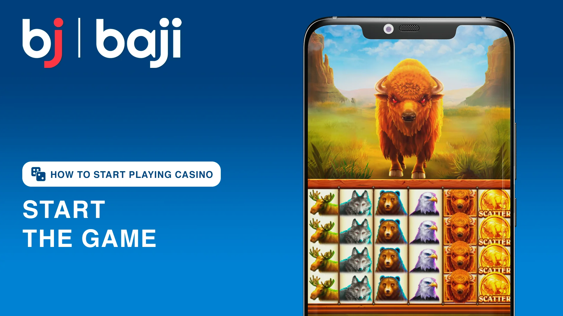 'প্লে' বোতাম টিপুন এবং আপনার গেমটি উপভোগ করুন - Baji